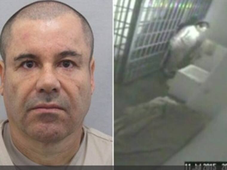 ¿Un chango puede ser pieza clave para dar con "El Chapo"?