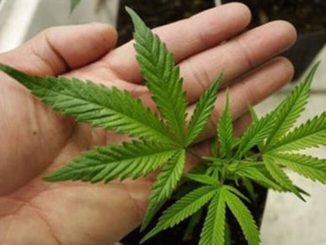 Detienen a mujer por dar "hot cakes" con mariguana a niños