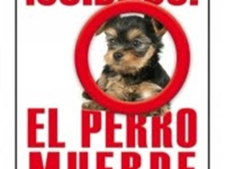 '¡Cuidado! El perro muerde'. Manual para encontrar al hombre de tus sueños