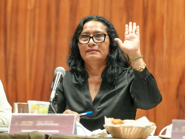 SCJN mantiene suspensiones contra revocación de mandato de la presidencia municipal de Acapulco, Abelina López