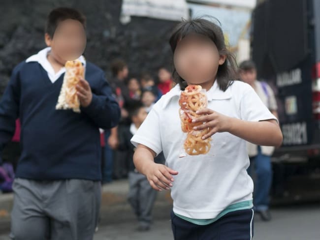 PVEM promueve iniciativa que prohíba alimentos &quot;chatarra&quot; en escuelas