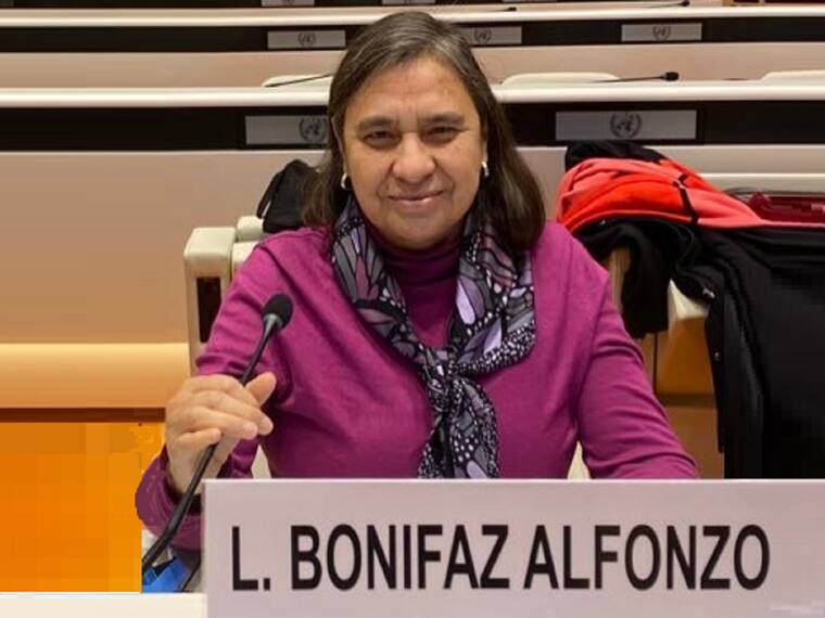 Leticia Bonifaz, presenta candidatura a la Comisión Interamericana de Derechos Humanos para el periodo 2025-30