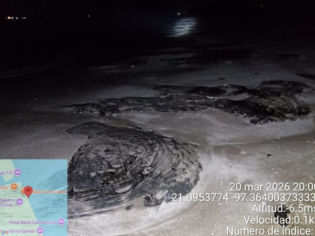 Autoridades minimizan contaminación por hidrocarburo en el Golfo: Greenpeace