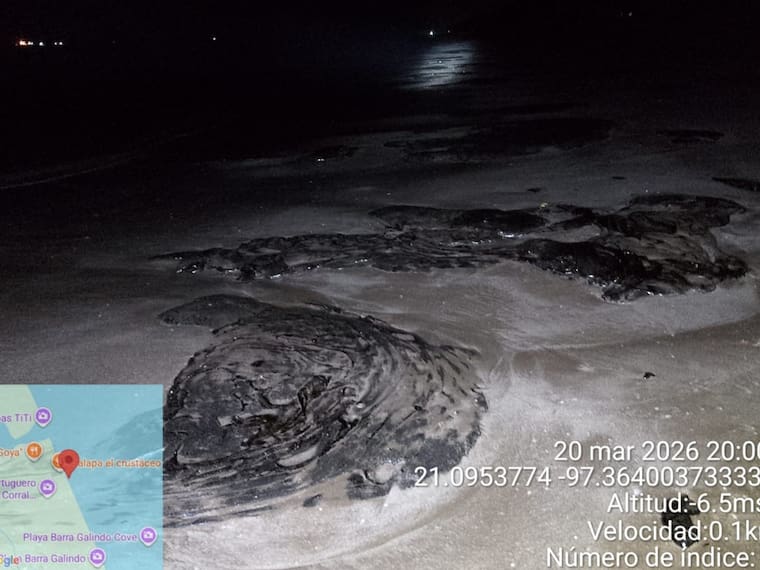 La crisis que enfrenta México no es solamente ambiental: Aleira Lara