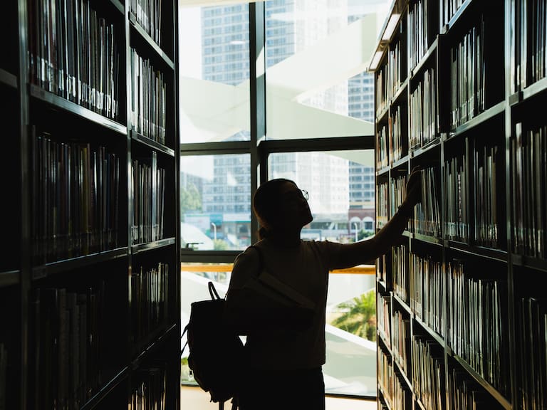 Universidad Rosario Castellanos Estado de México
