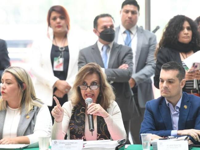 AMLO quiere apoderarse del INE: María Elena Pérez-Jaen, diputad del PAN