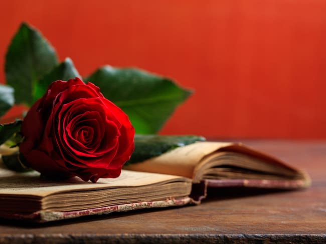 Día del Libro: ¿Por qué se acostumbra regalar un libro y una rosa el 23 de abril?  