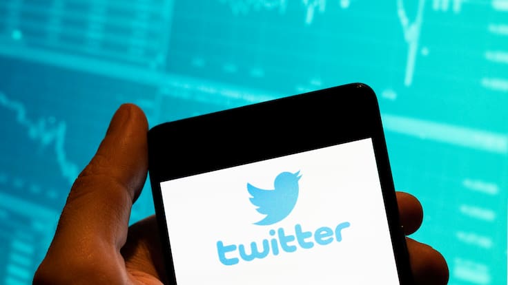 ¿Vuelve Twitter? El pájaro azul regresa y desafía a Elon Musk