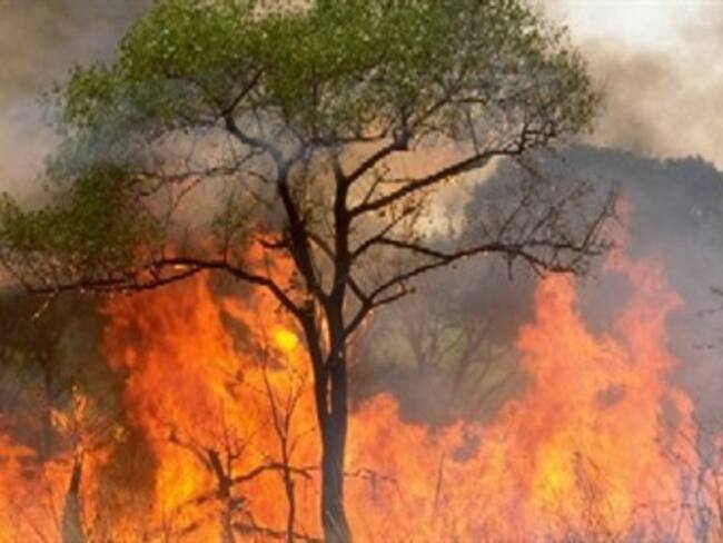 Aumenta 10% el número de incendios forestales en el DF