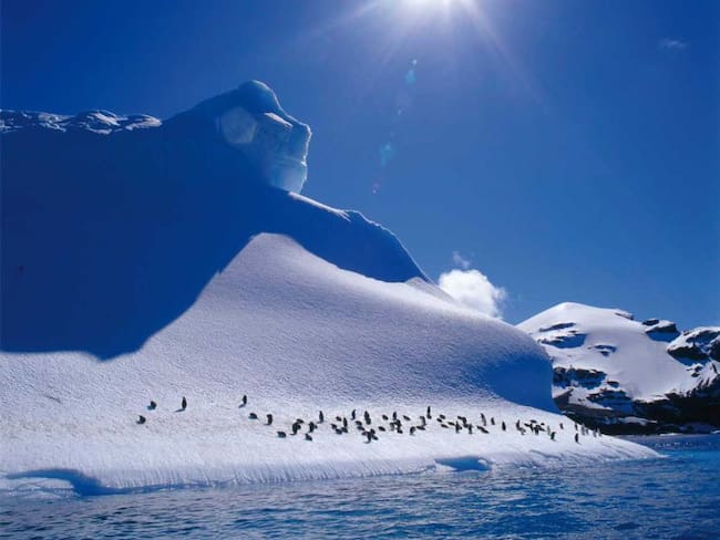 La Antártida registra temperaturas similares a las de El Cairo