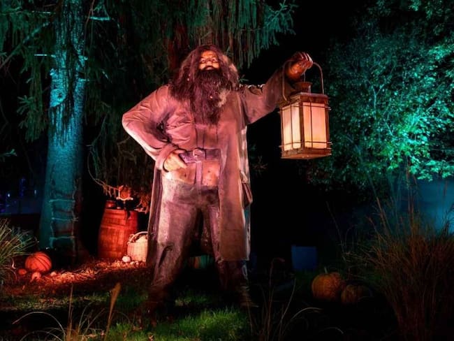 Harry Potter: el Bosque Prohibido llega cerca de CDMX; fecha, lugar y boletos