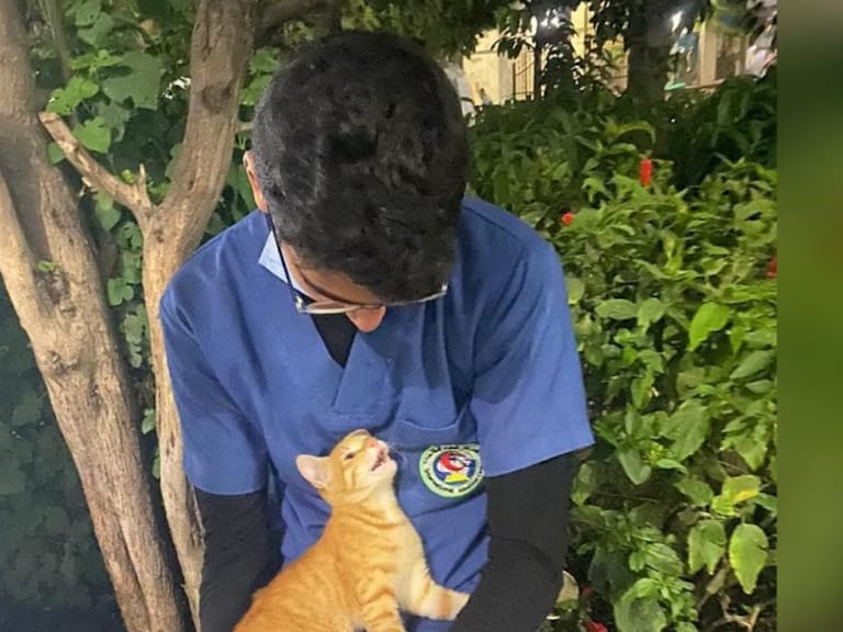 Gatito consuela a enfermero cansado de su jornada laboral por COVID-19