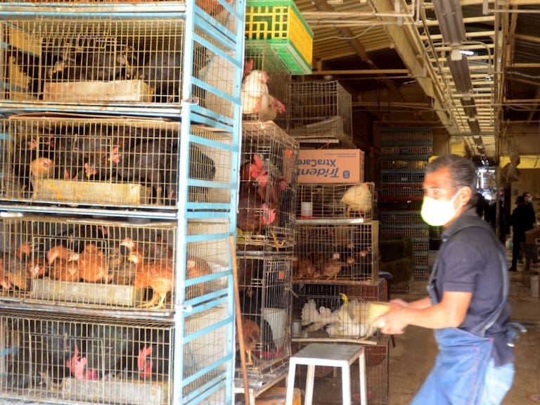 Accidente en Mercado Sonora debe cambiar la comercialización de animales