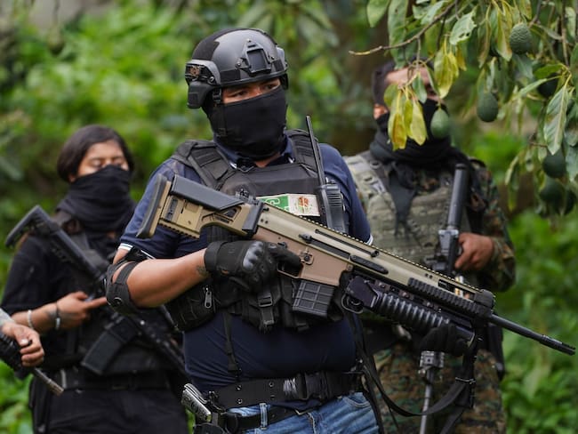 El lado amargo del Super Bowl: aguacateros denuncian ante Sheinbaum violencia en Michoacán