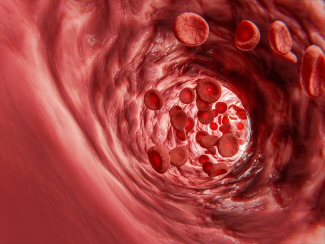 Descubren “MAL”, nuevo grupo sanguíneo que podría salvar miles de vidas