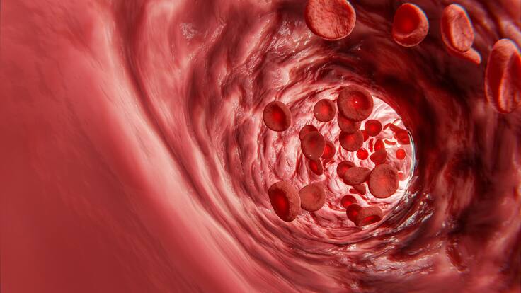 Descubren “MAL”, nuevo grupo sanguíneo que podría salvar miles de vidas