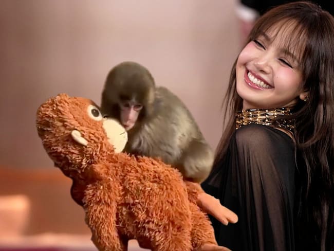 Lisa de BLACKPINK visita a Monkey Punch, el mono rechazado por su madre y conmueve las redes sociales | FOTOS