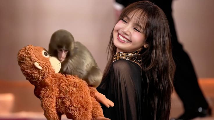 Lisa de BLACKPINK visita a Monkey Punch, el mono rechazado por su madre y conmueve las redes sociales | FOTOS