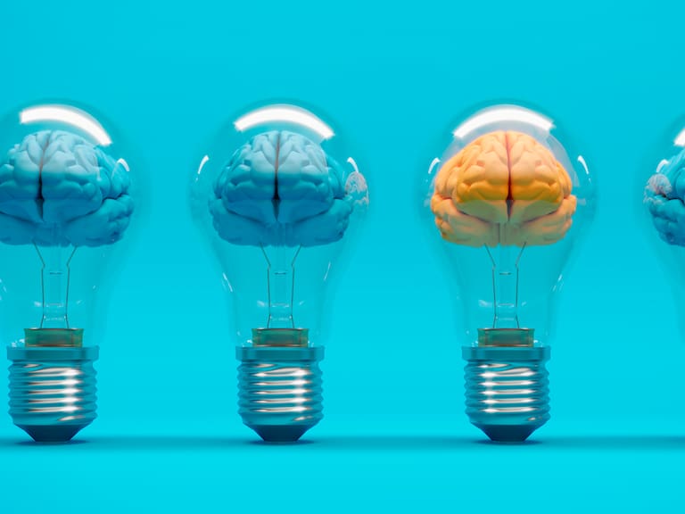 MX- Una mente de ganador no nace de la motivación pasajera, sino de una profunda transformación interior