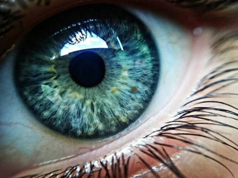 Cuando los ojos avisan: 10 síntomas de alerta