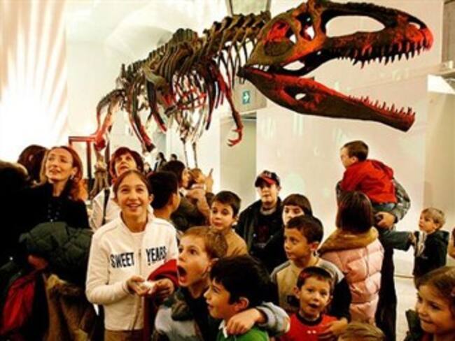 Cultura, verano y más. Maricela Salazar, colaboradora de CONACULTA