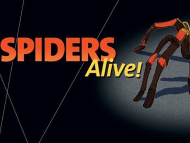 Descubre la exposición ‘Spiders Alive’ en Nueva York