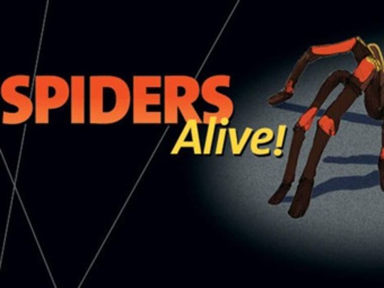 Descubre la exposición ‘Spiders Alive’ en Nueva York