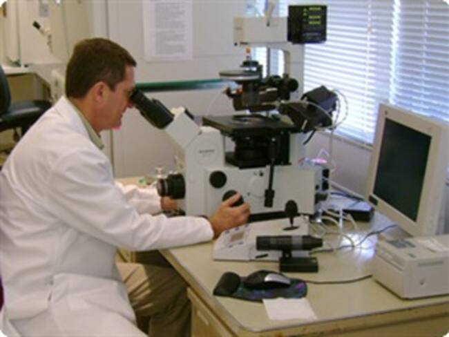 Codifican secuencia del virus A H1N1