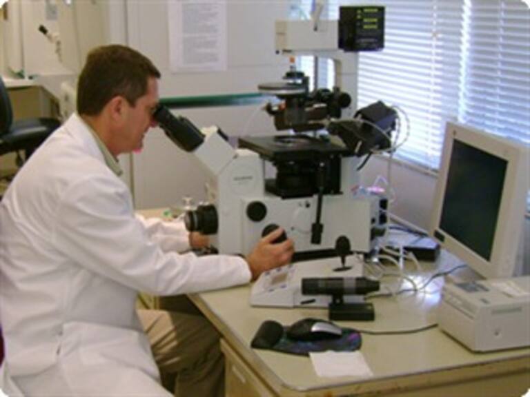 Codifican secuencia del virus A H1N1