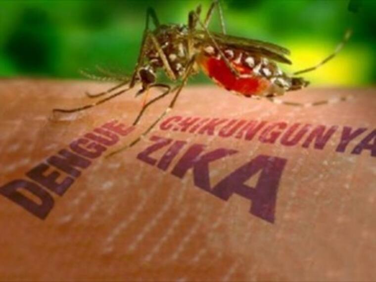 &quot;El cambio climático ha favorecido la formación de virus como el Zika&quot;: Investigadora de la UNAM