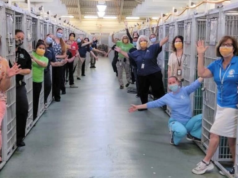 Con aplausos, refugio animal vacía sus jaulas tras la adopción de 48 perros