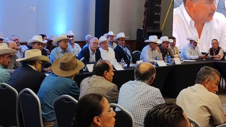 Preocupa a ganaderos mexicanos regla final de etiquetado cárnico