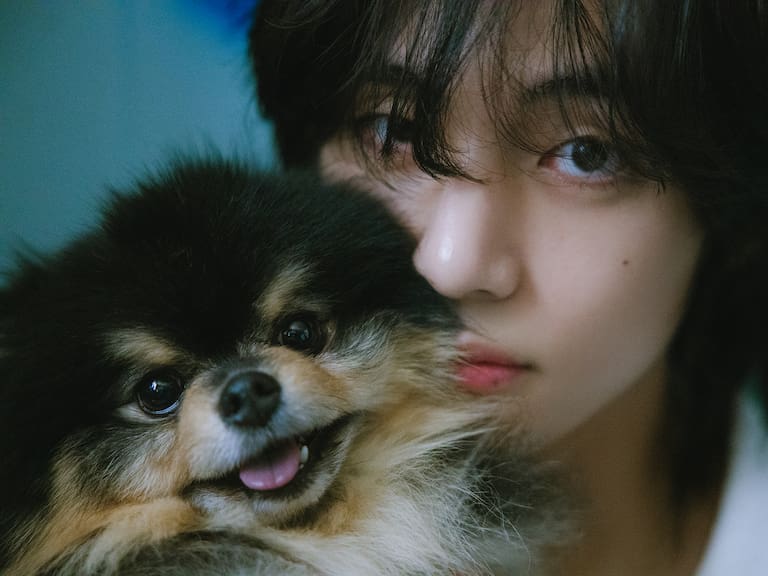 Yeontan acompañó a Kim Taehyung desde 2017.