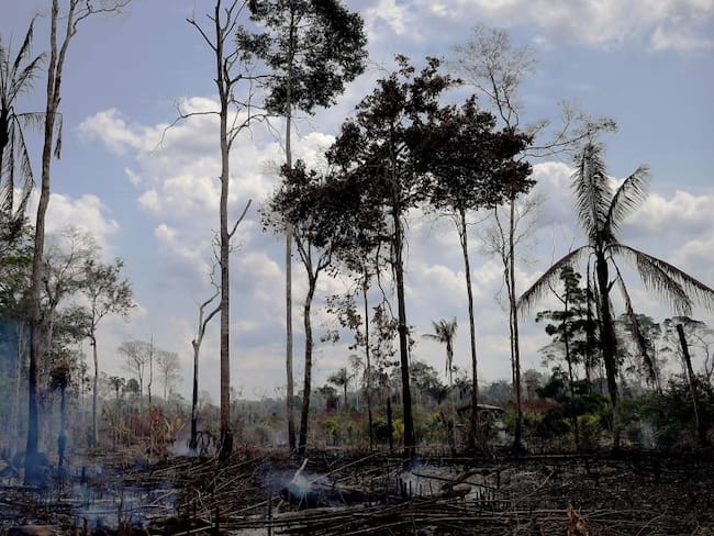 SOPITAS: Fake News de la Amazonía