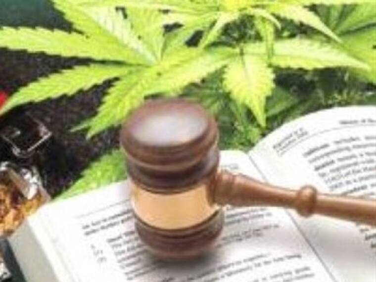 ¿Legalización de la marihuana responsabilidad de SSA o SEGOB?