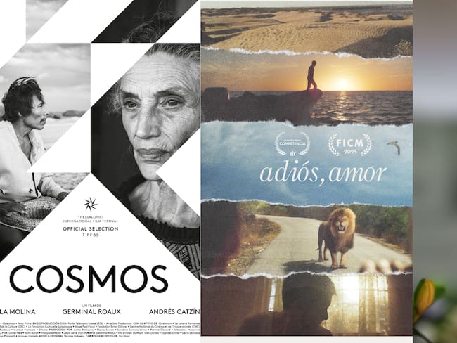 Premios Ariel 2026: Lista completa de nominados al galardón de cine más importante de México