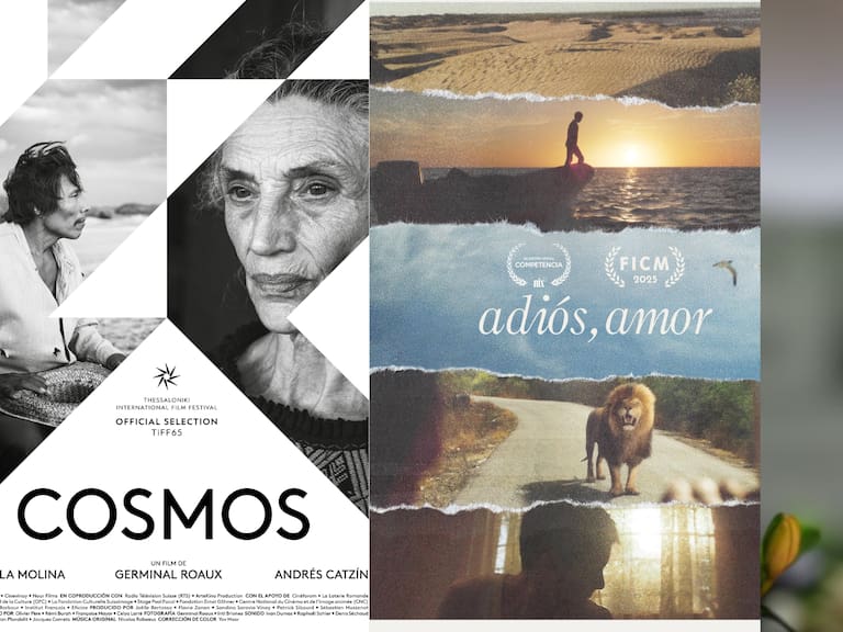 Mx - Premios Ariel 2026 lista completa de nominados
