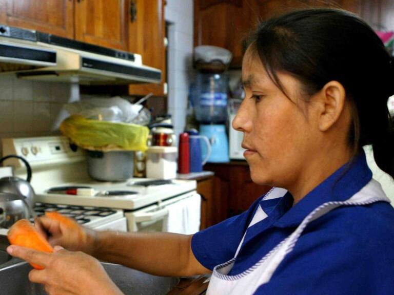 Presentan datos del trabajo doméstico en Área Metropolitana de Guadalajara