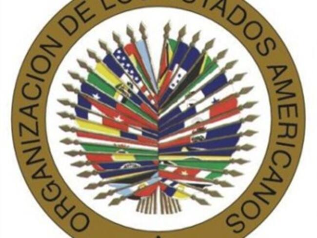 Elecciones en México, sin incidentes: OEA