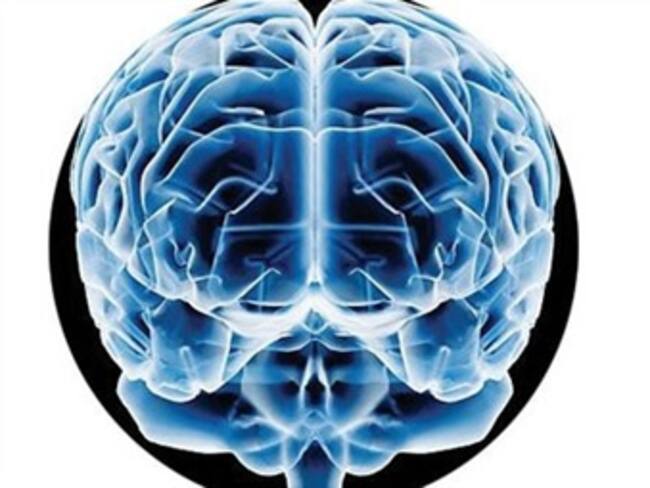 Simulador de cerebro. José Franco, Presidente de la Academia Mexicana de Ciencias. 27/02/13