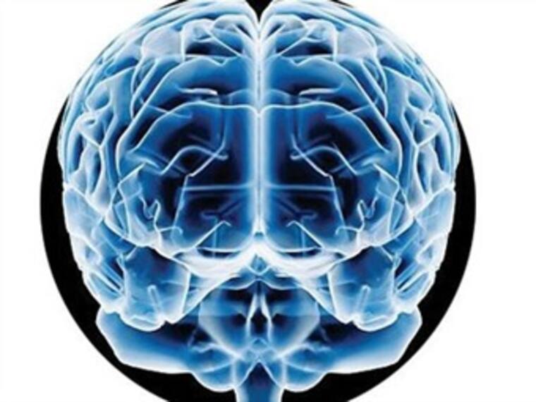 Simulador de cerebro. José Franco, Presidente de la Academia Mexicana de Ciencias. 27/02/13