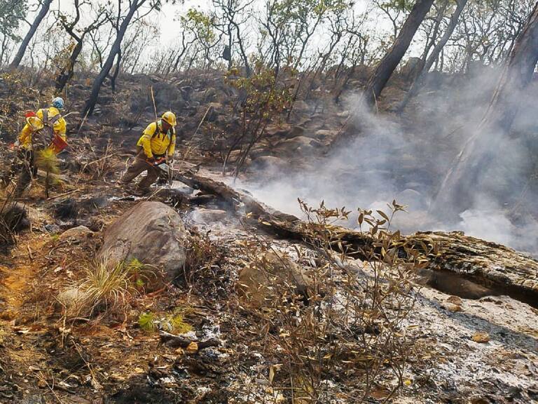 De los cuatro incendios registrados en Valle de Bravo, uno fue provocado y en área protegida, señaló el director general de Probosque