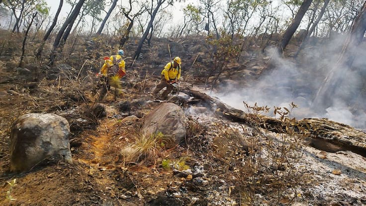 Incendios en Valle de Bravo controlados al 100%: Probosque