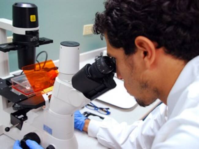 Crean piel y hueso con ingeniería de tejidos