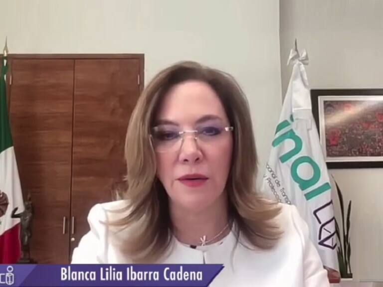 INE deberá localizar y entregar a la persona solicitante una versión pública de las solicitudes realizadas a plataformas digitales como Instagram, Facebook, Twitter y TikTok en el periodo requerido, ordena el INAI