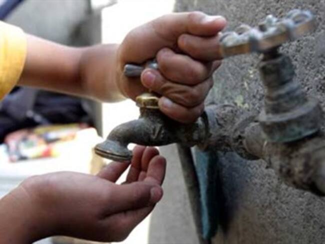 Hallazgo bendito. José Franco, director de divulgación de la ciencia en la UNAM. 23/01/13