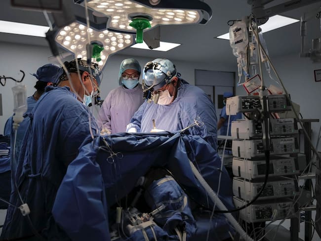 IMSS alcanza cifra histórica de trasplantes durante 2025