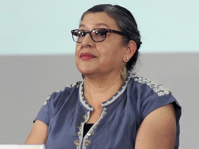Critica ONU-DH designación de Teresa Guadalupe Reyes como titular de CNB