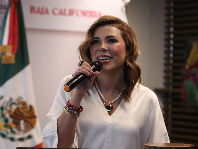 Marina del Pilar tendría un delito financiero que apunta a lavado de dinero: Luis Chaparro