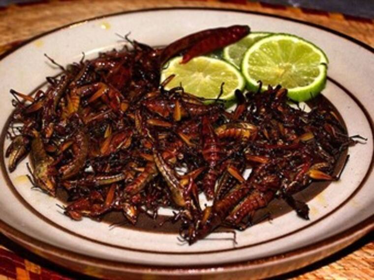 ‘El botanero’. ¿Cuál es tu botana para disfrutar del Mundial?